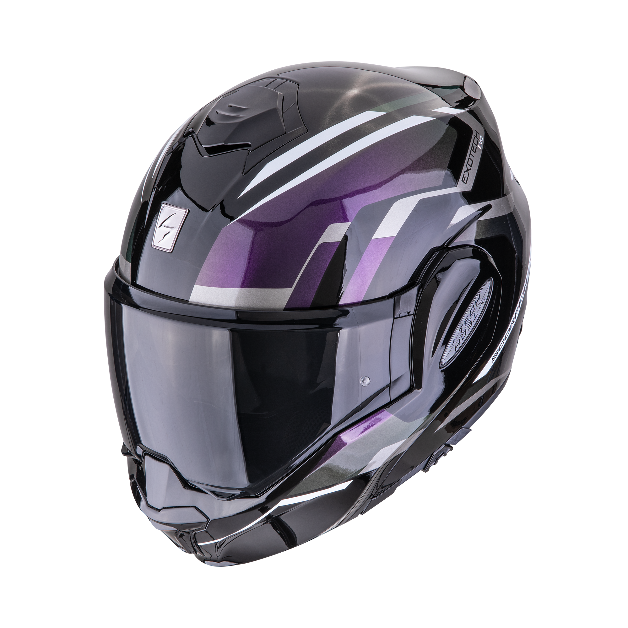 A_scorpionEXOTECHEVO_FURIO_BlaCha_getstung