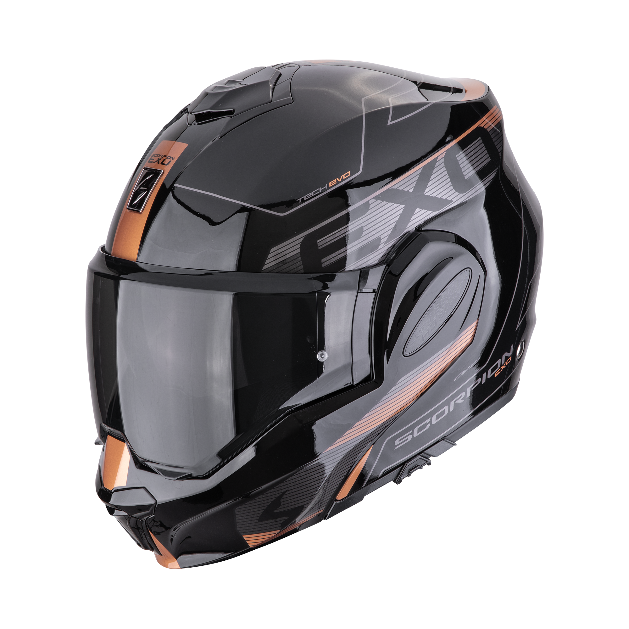 A_scorpionEXOTECHEVO_TRAVELLER_Cop_getstung